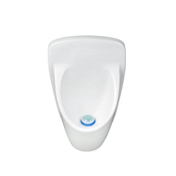 P6 Urinal front